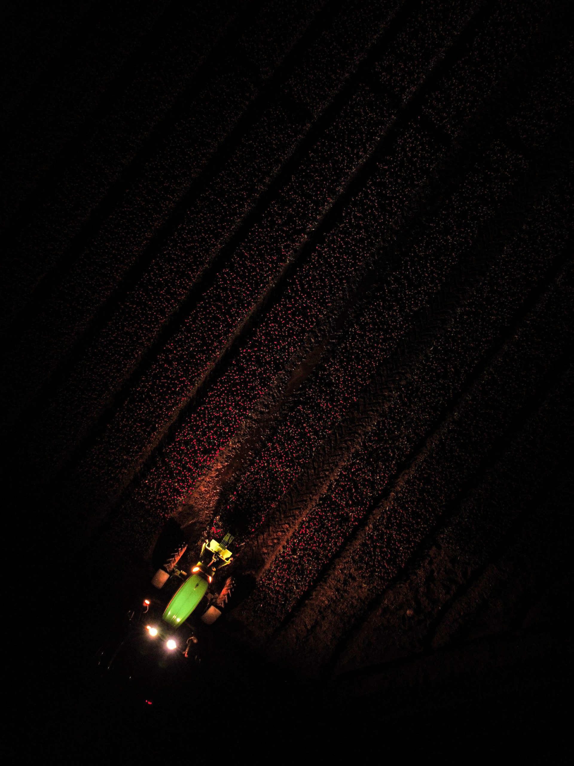 Topdown foto van trekker in tulpenveld in het donker